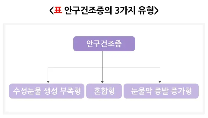 안구건조증 종류 설명 이미지 1