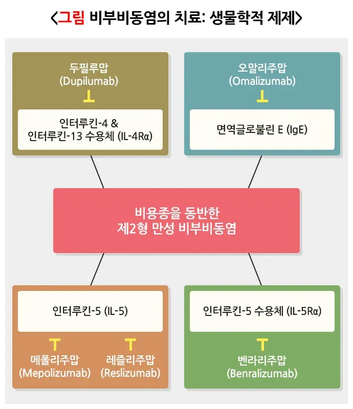 비부비동염 치료 설명 이미지 3
