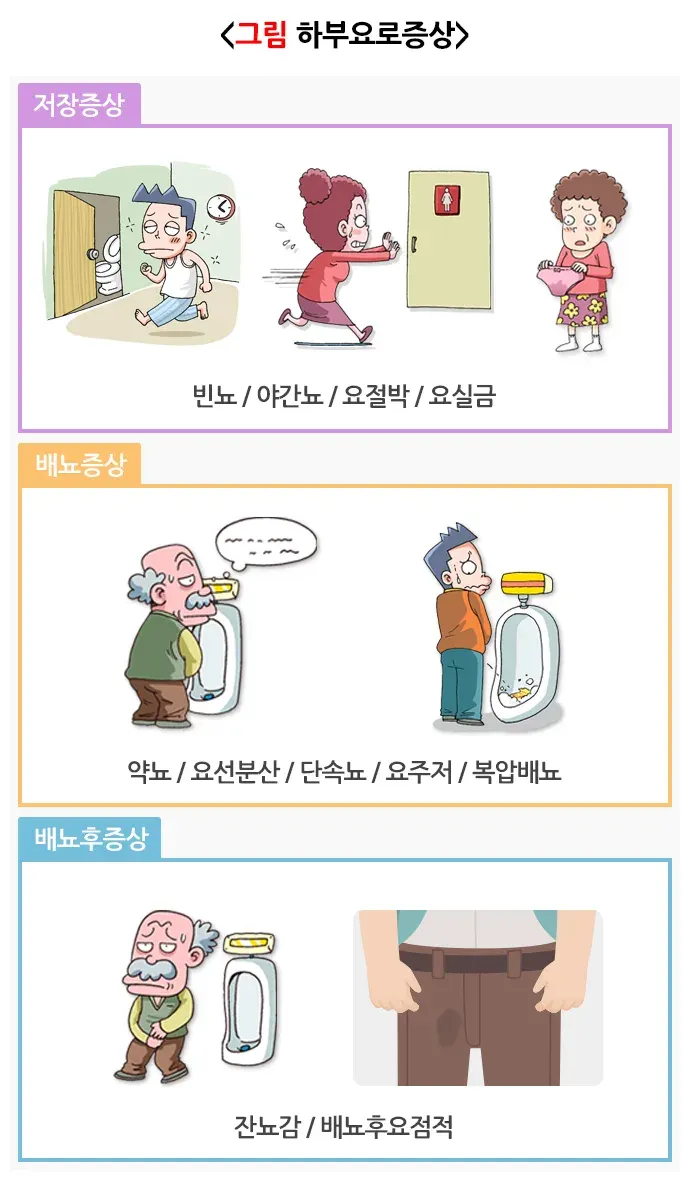 배뇨 관련 증상 또는 이상 종류 설명 이미지 1