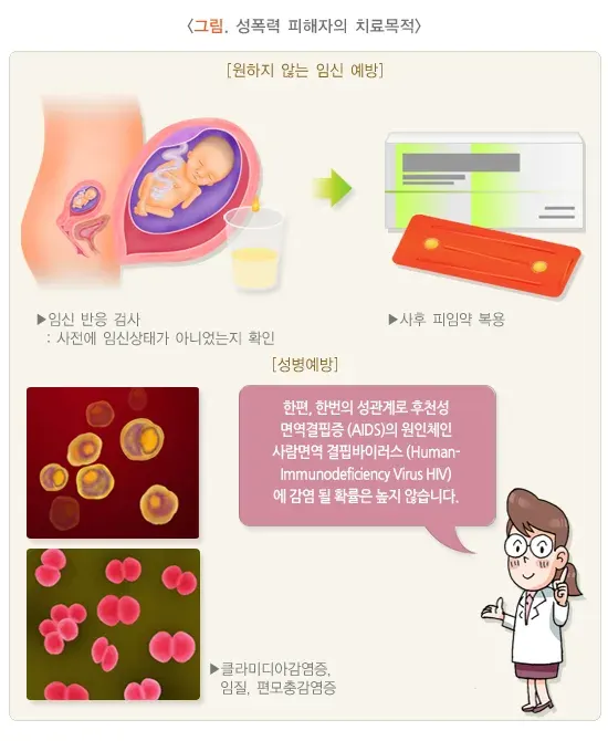 성폭력 중요성 설명 이미지 1
