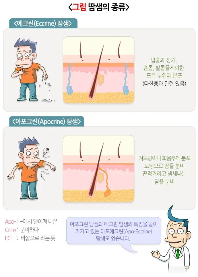 다한증 원인 설명 이미지 1
