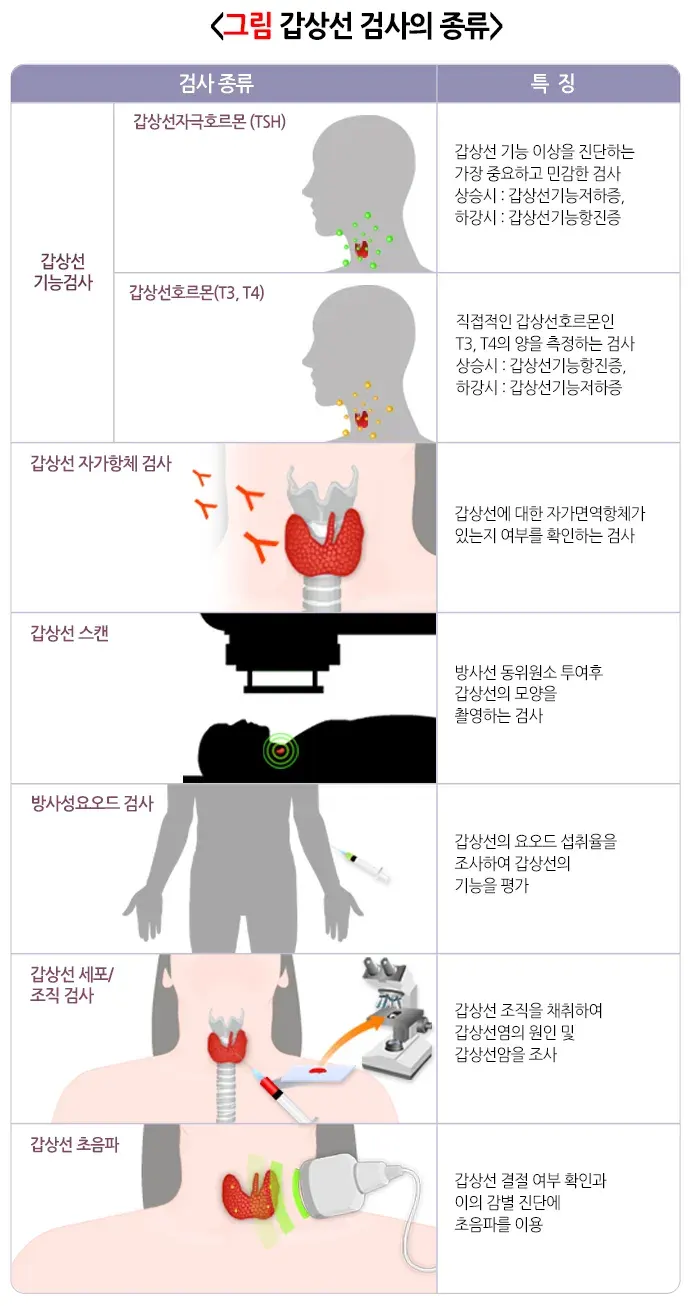 갑상선염 진단 및 검사 설명 이미지 1