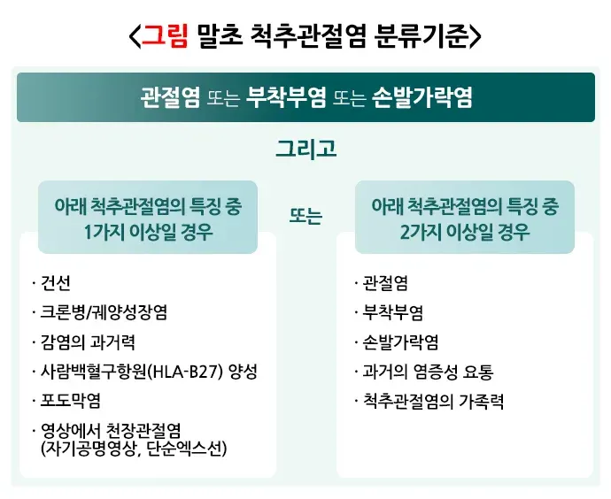 강직척추염 종류 설명 이미지 2