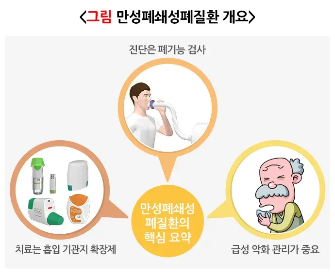 만성폐쇄성폐질환 정의 설명 이미지 1