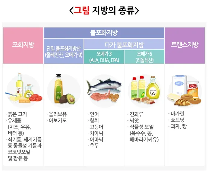 건강한 체중조절을 위한 식사 정의 설명 이미지 2