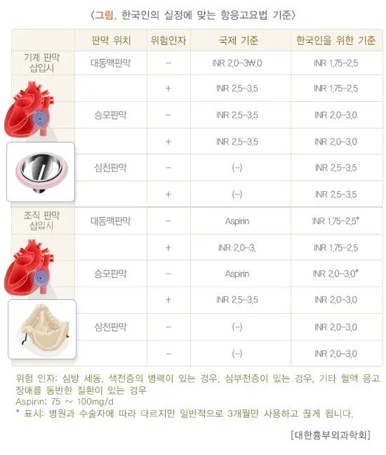 항응고요법 치료 방법 설명 이미지 2