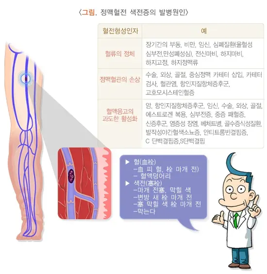 항응고요법 치료 방법 설명 이미지 4