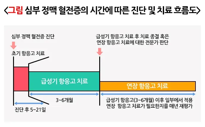 항응고요법 치료 방법 설명 이미지 5