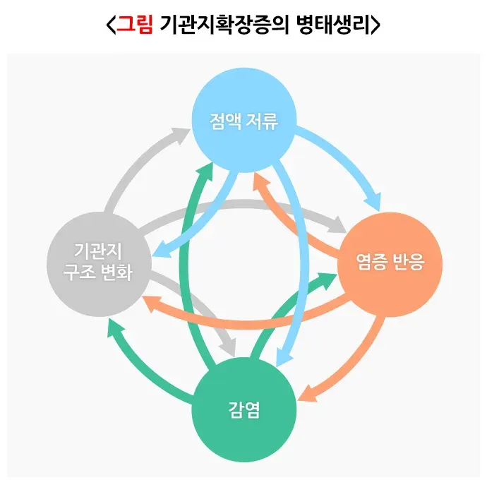 기관지확장증 병태생리 설명 이미지 1