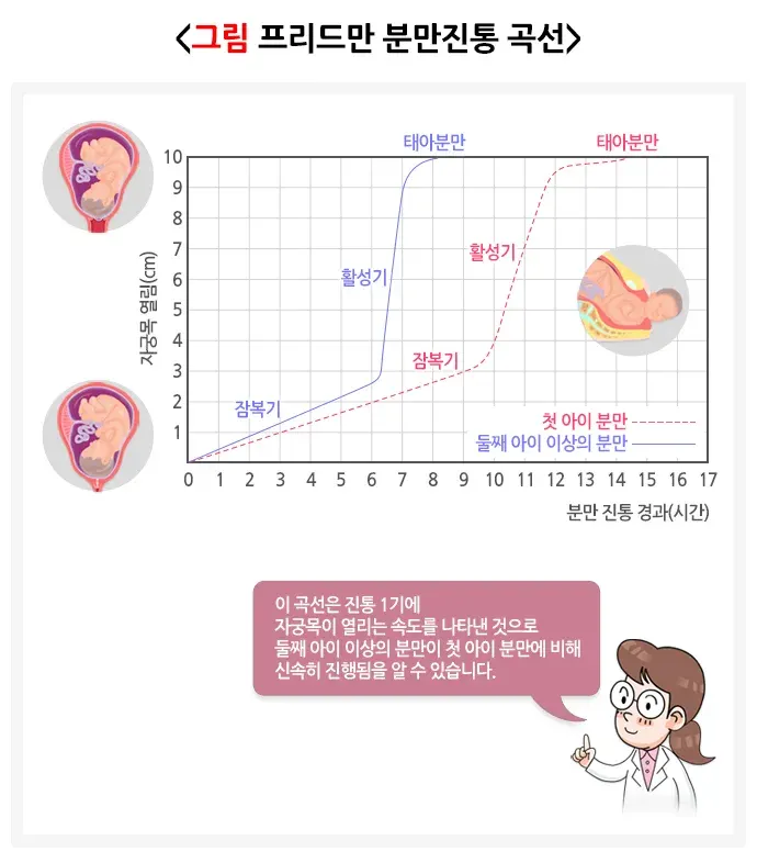 자연분만과정 경과 및 예후 설명 이미지 4