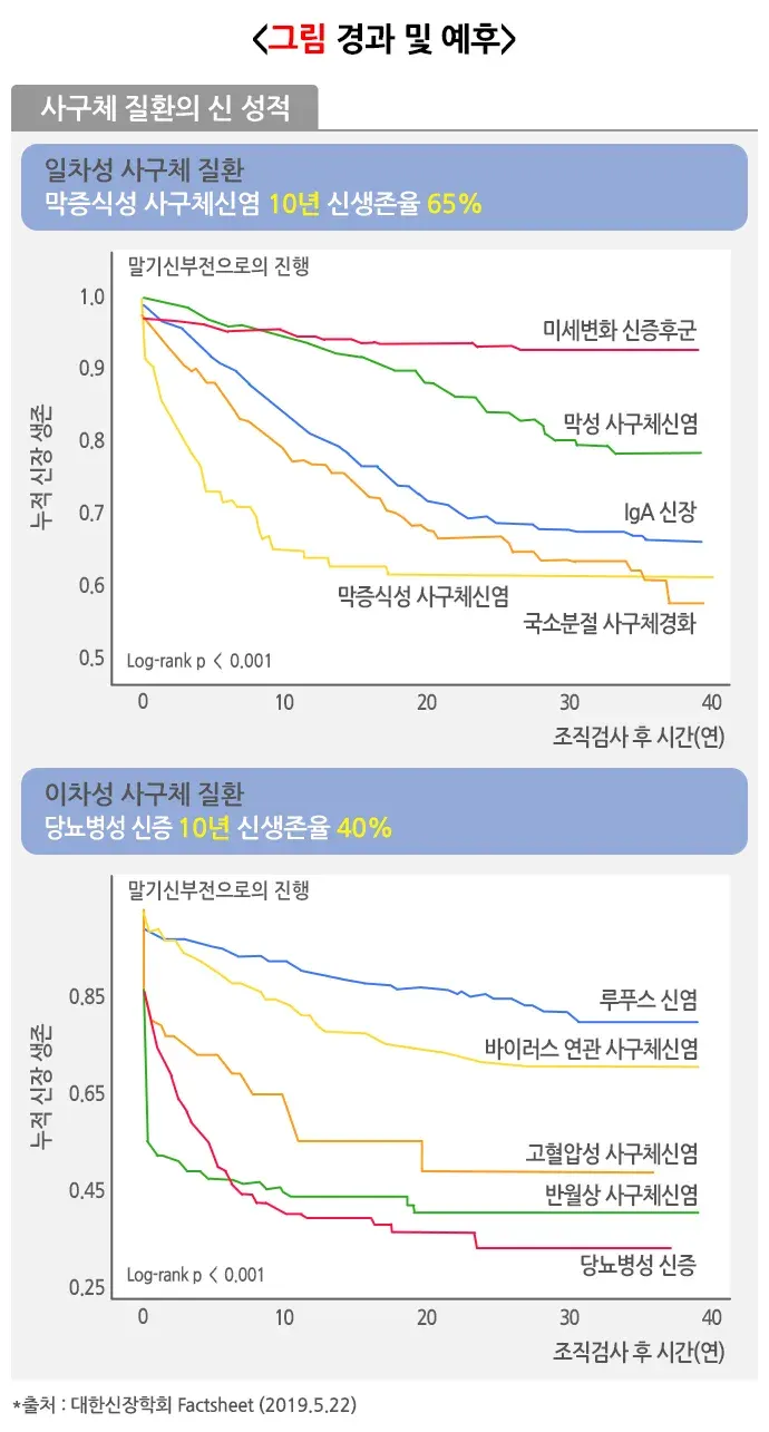 사구체질환 경과 및 예후 설명 이미지 1