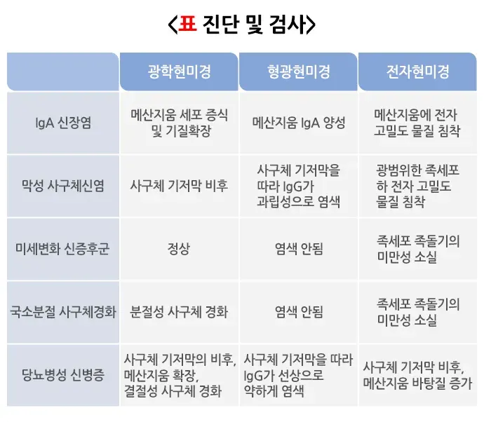 사구체질환 진단 및 검사 설명 이미지 1