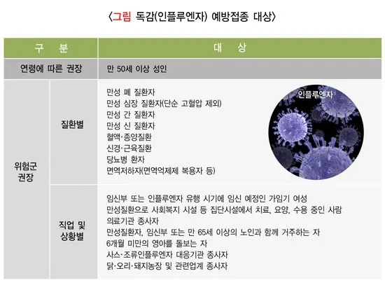 인플루엔자 예방 및 예방접종 설명 이미지 1
