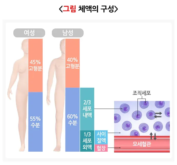 탈수 정의 설명 이미지 1