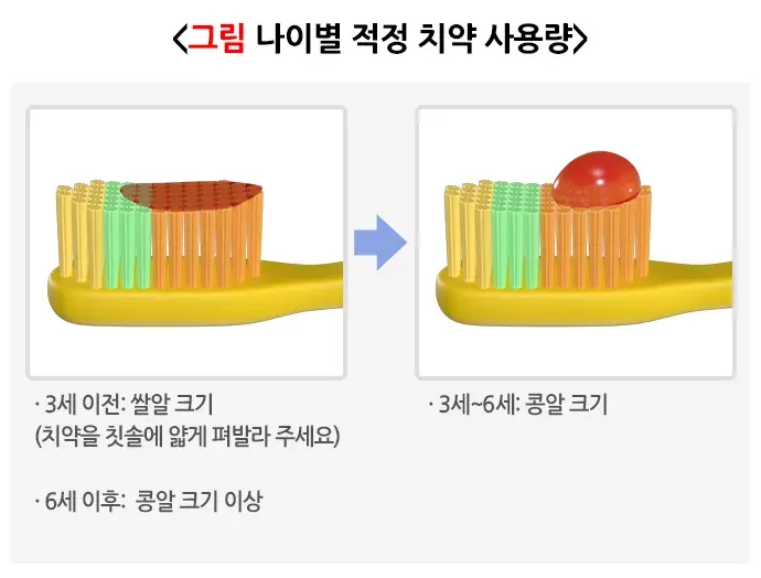 불소도포 일반적 실천 방법 설명 이미지 3