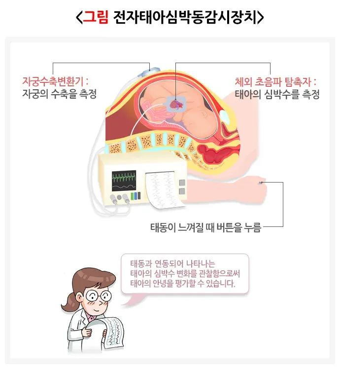 자연분만과정 진단 및 검사 설명 이미지 1