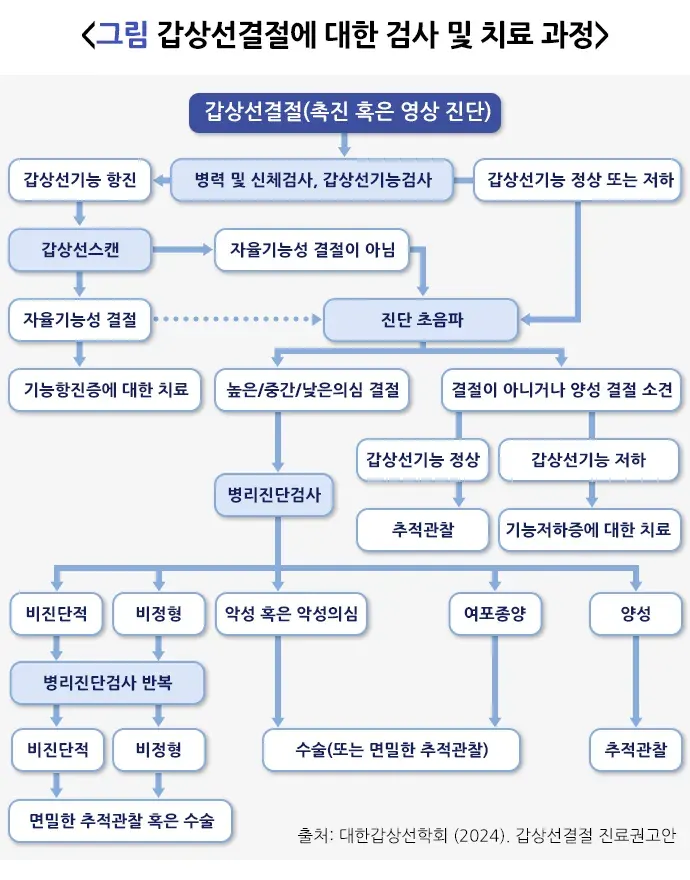 갑상선 결절 진단 및 검사 설명 이미지 3