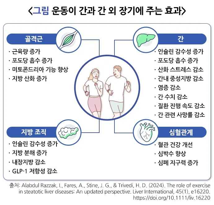 대사이상지방간질환 비약물 치료 설명 이미지 2