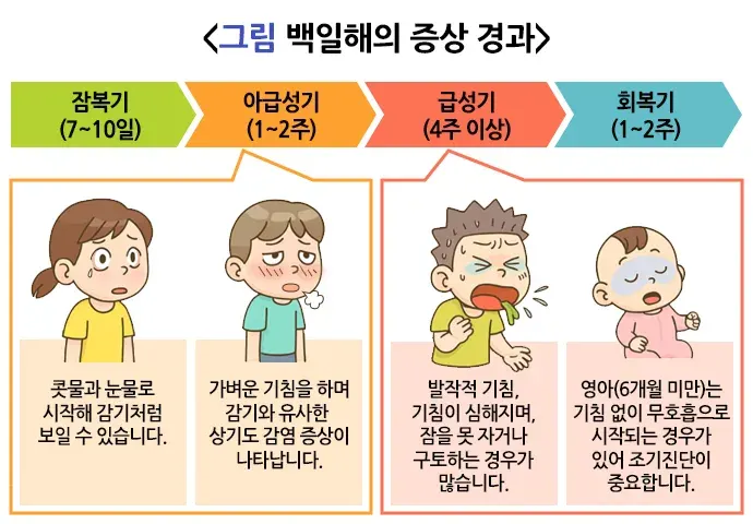 백일해 증상 설명 이미지 1
