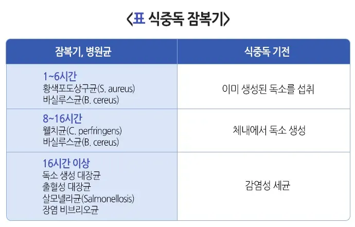 식중독 원인 설명 이미지 4