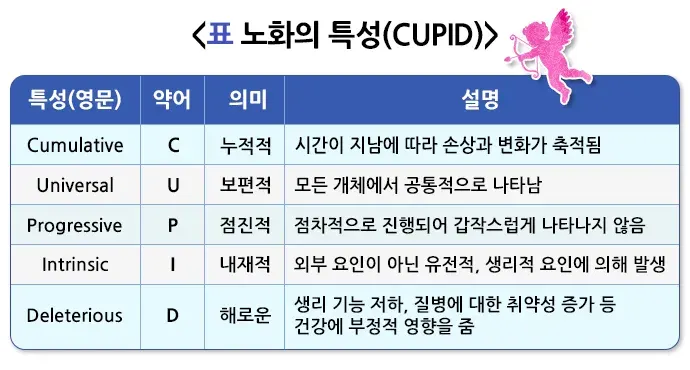 정상노화의 이해 정의 설명 이미지 1