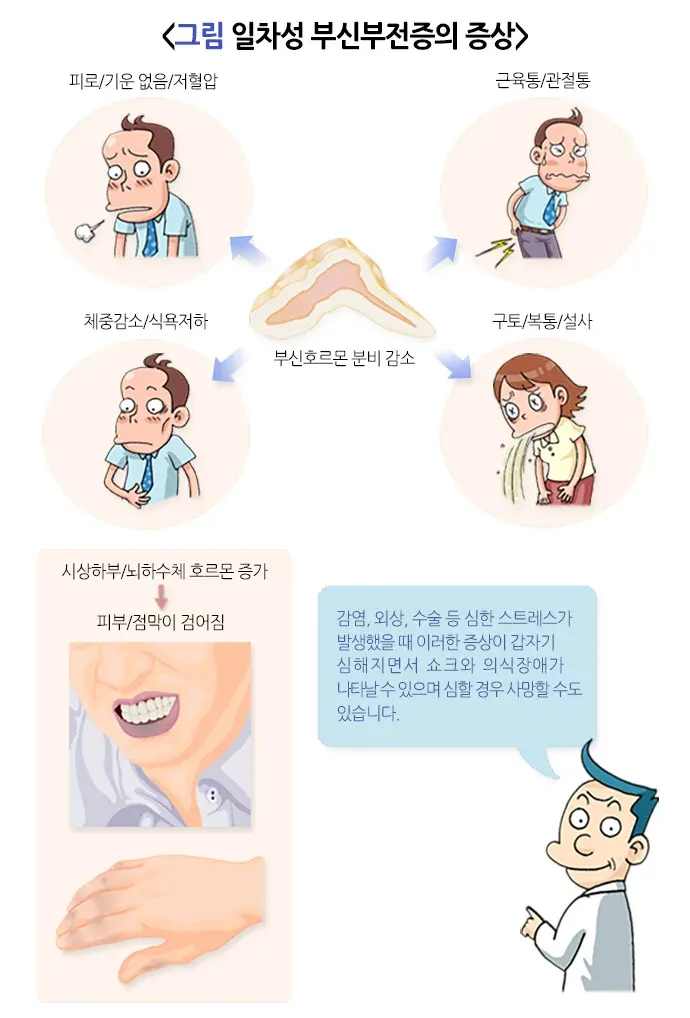 부신부전증 증상 설명 이미지 1
