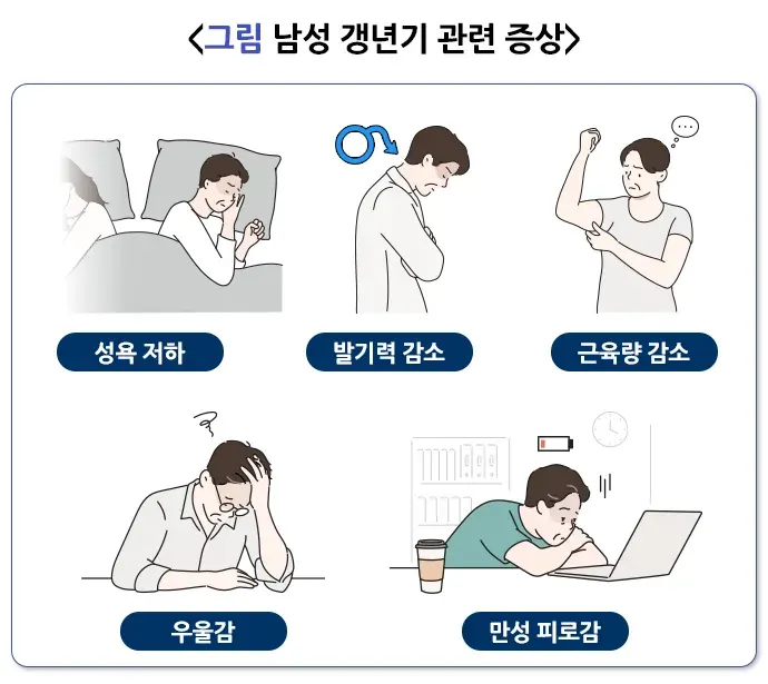 남성갱년기 연관 증상 설명 이미지 2