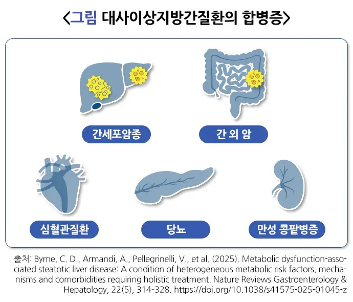 대사이상지방간질환 합병증 설명 이미지 1