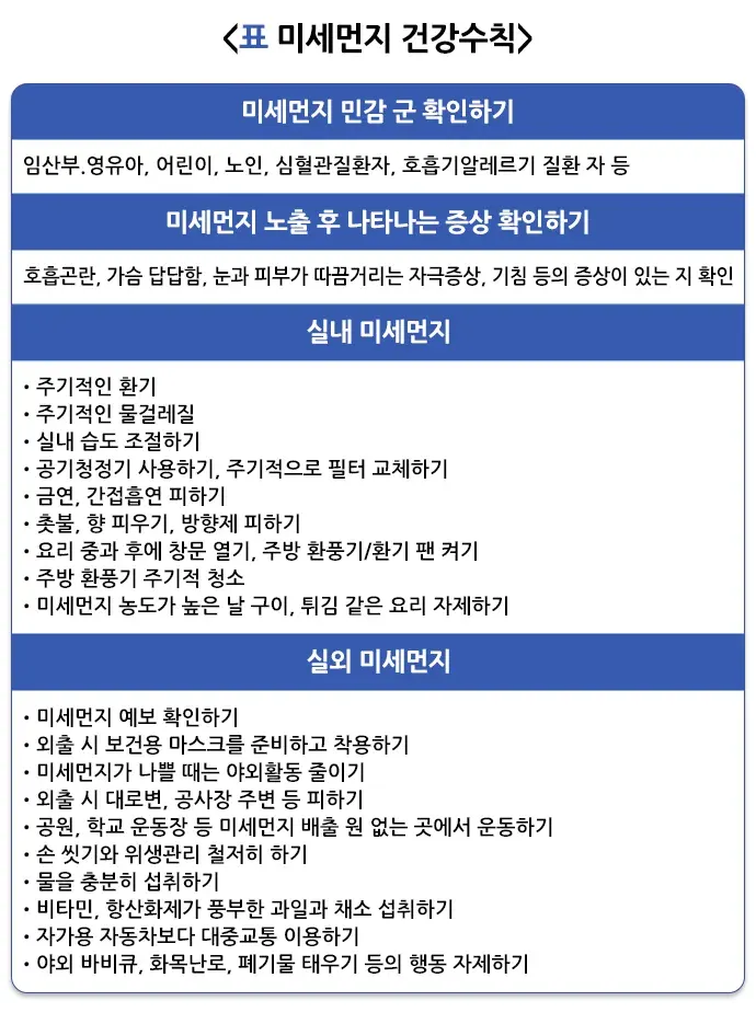 공기 오염 건강에 미치는 영향 설명 이미지 1