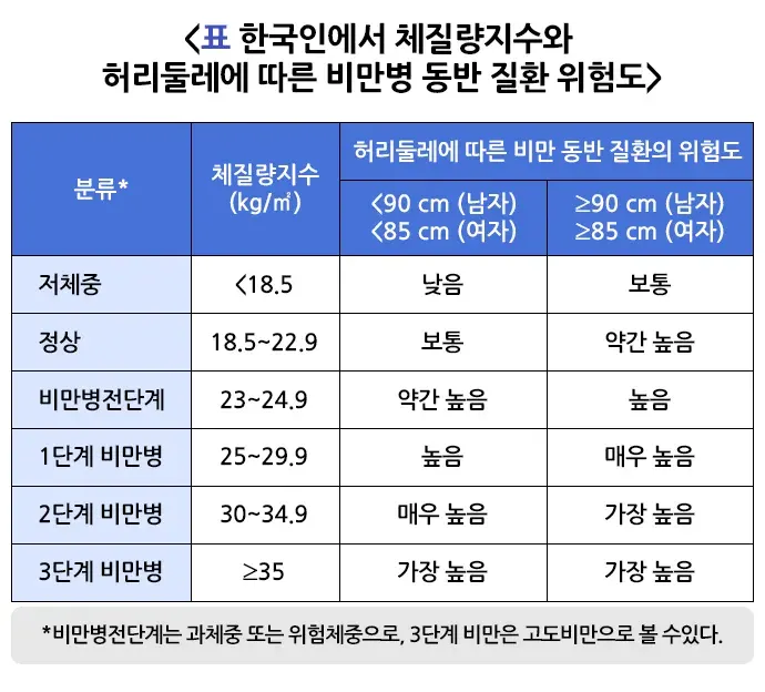 비만 정의 설명 이미지 2