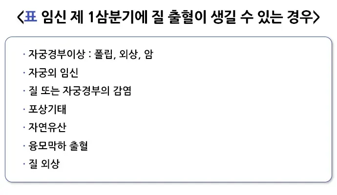 자연유산 종류 설명 이미지 2