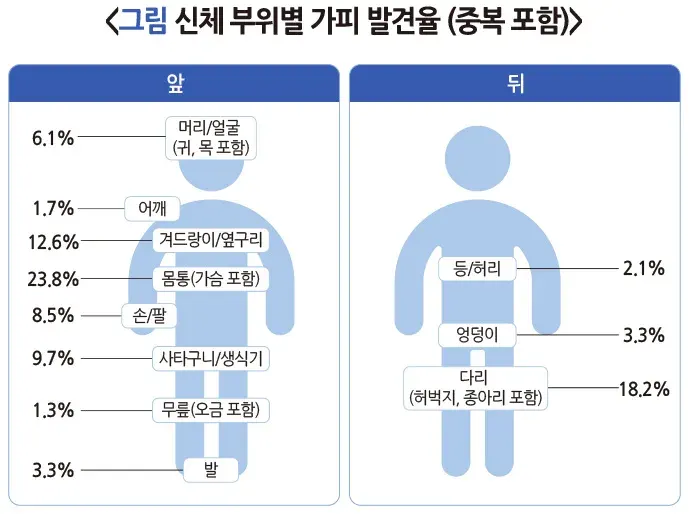 쯔쯔가무시증 증상 설명 이미지 2