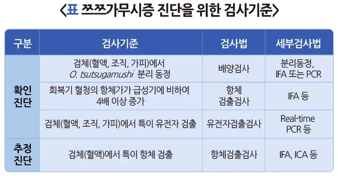 쯔쯔가무시증 진단 및 검사 설명 이미지 2
