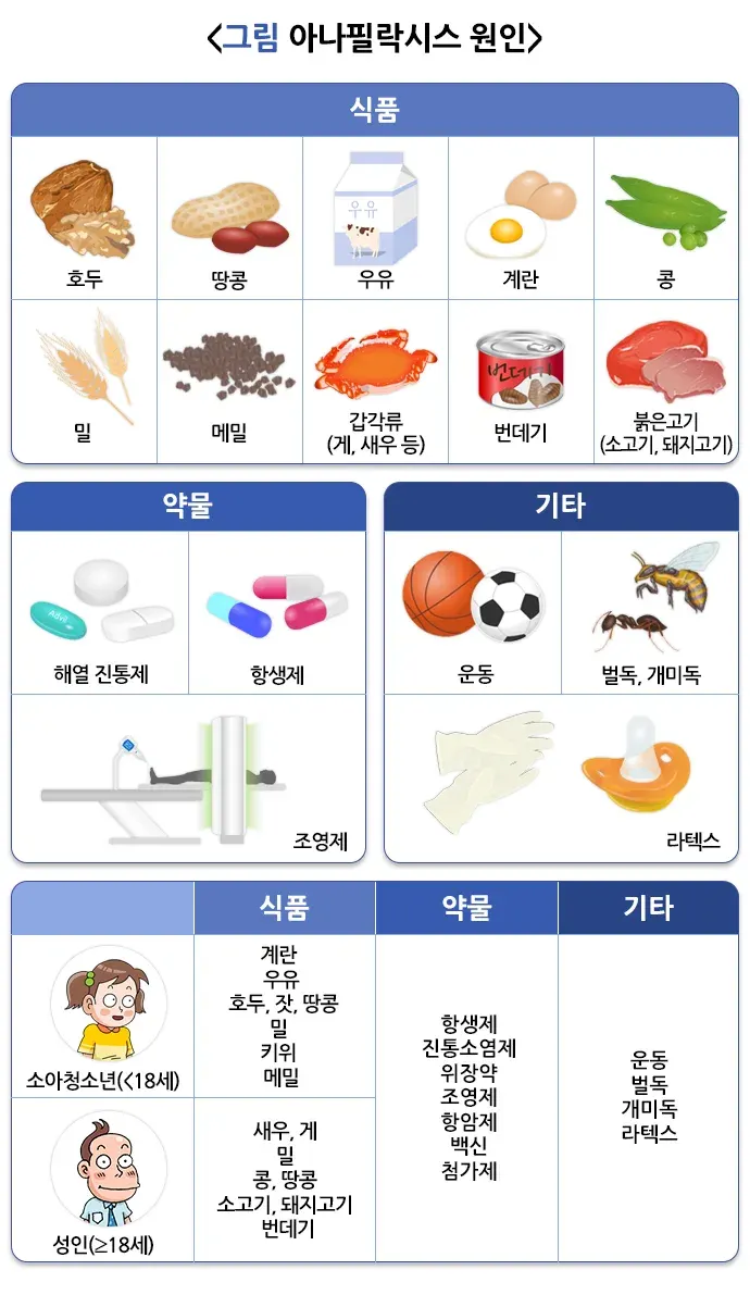 아나필락시스 원인 설명 이미지 1