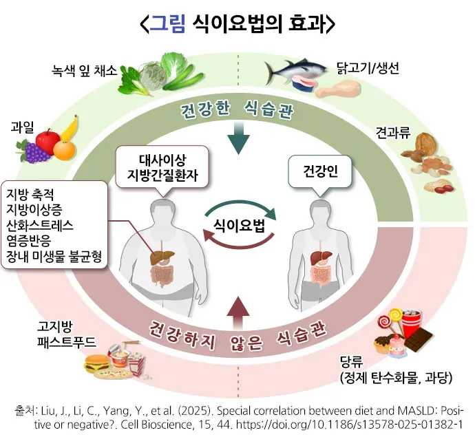 대사이상지방간질환 비약물 치료 설명 이미지 1