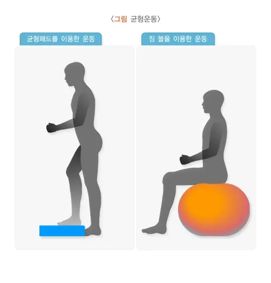 노인 보행장애 비약물 치료 설명 이미지 1