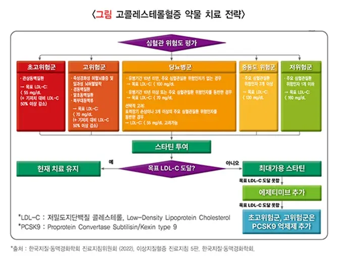 이상지질혈증 약물 치료 설명 이미지 2