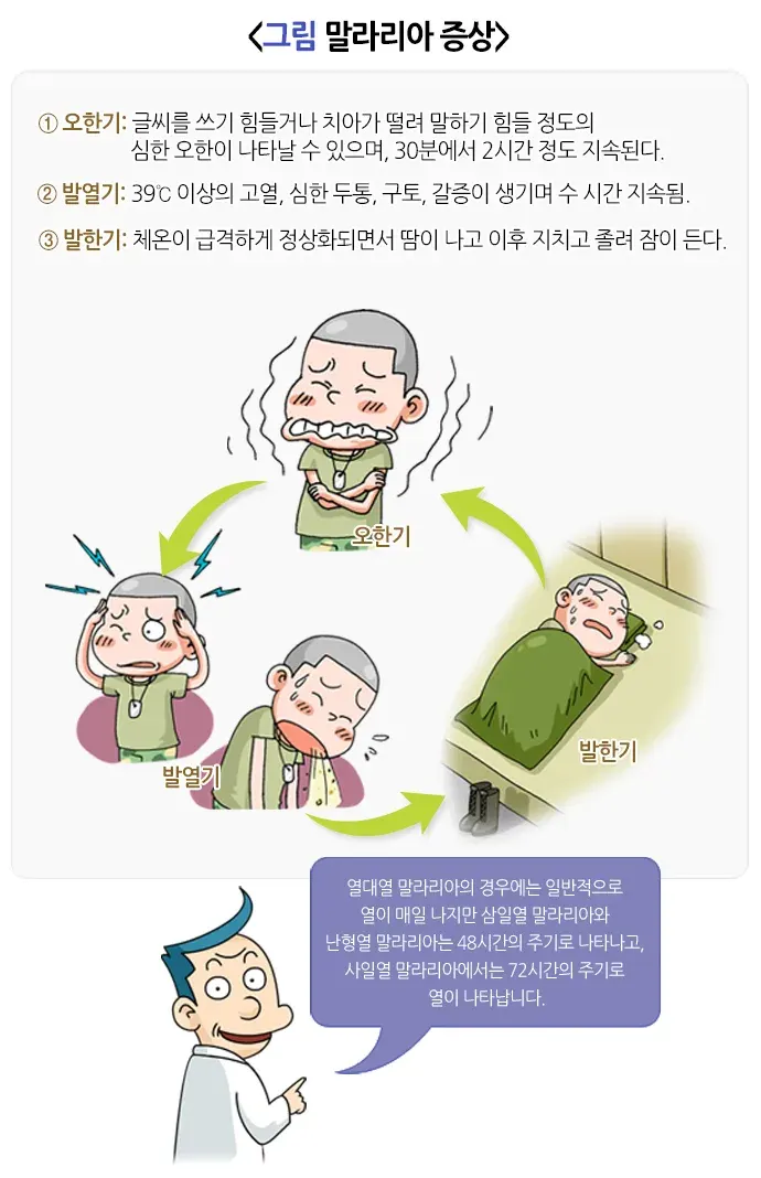말라리아 증상 설명 이미지 1