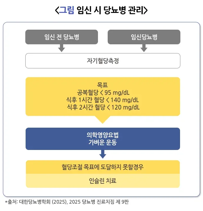 임신당뇨병 치료 설명 이미지 1