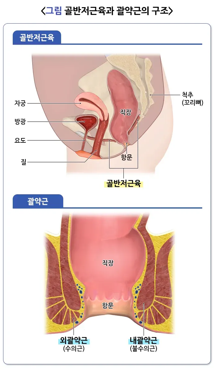 변실금 원인 설명 이미지 1