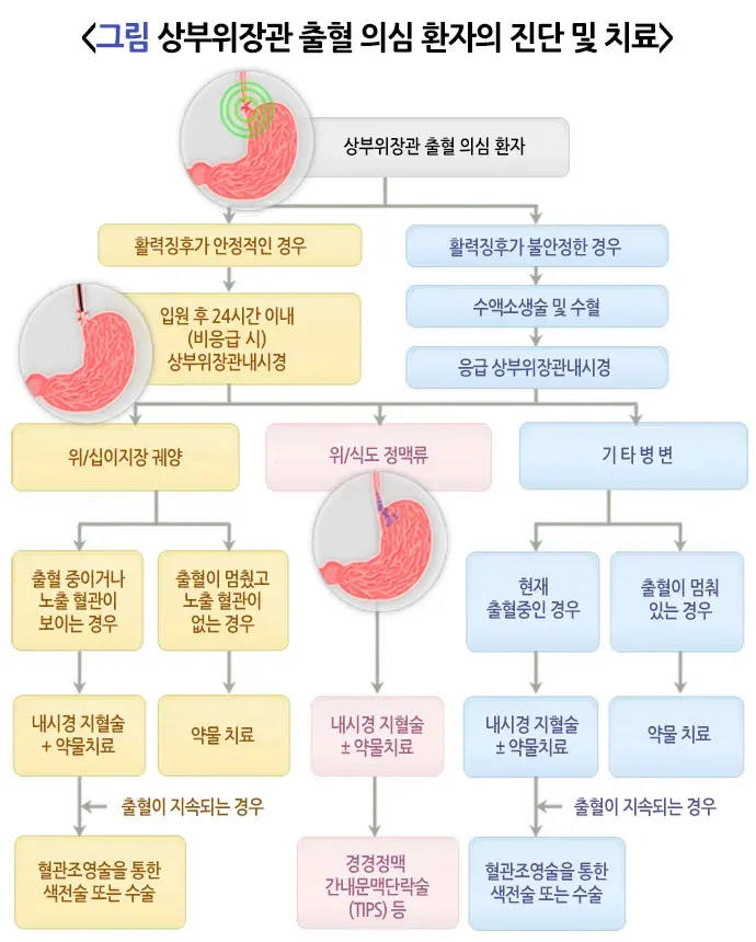 혈변 및 흑변(성인) 치료 설명 이미지 5