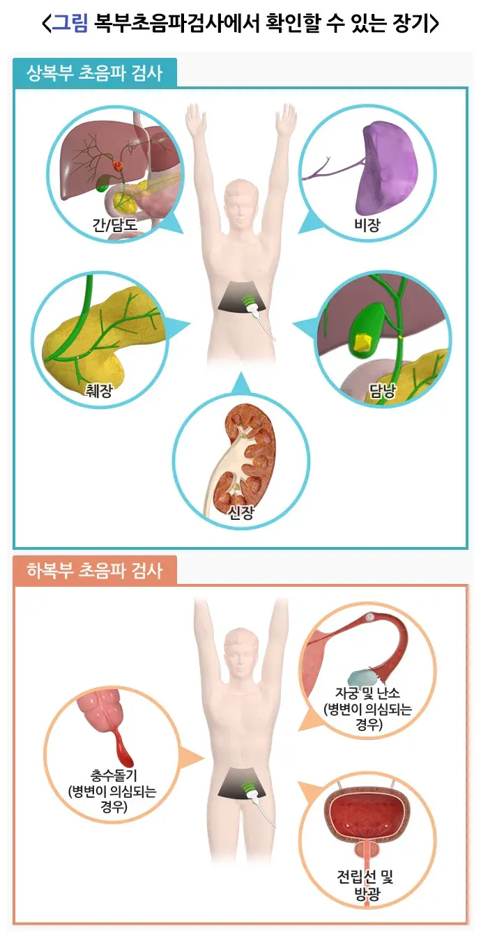 복부초음파검사 검사 항목 설명 이미지 1