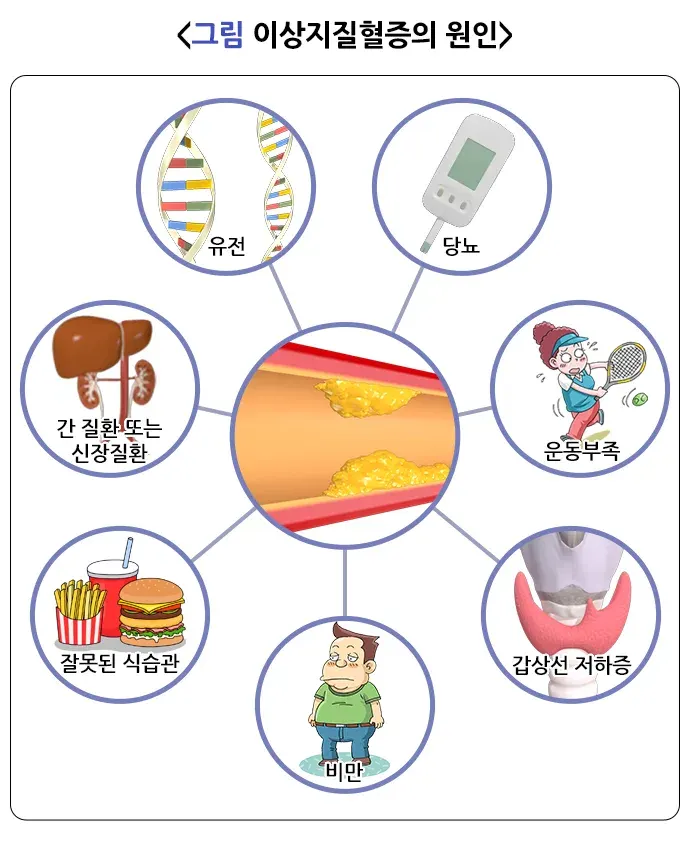이상지질혈증 원인 설명 이미지 1
