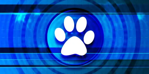 ‘펫테크’ 혁신, 반려동물 건강관리의 새로운 기준 세운다