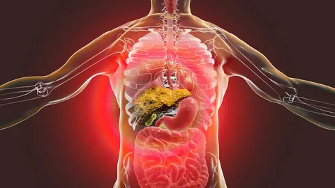 침묵 속에 진행되는 간경변 치료보다 더 중요한 건 조기 발견과 예방법