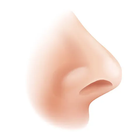 실내가 건조해지면 면역도 흔들린다 겨울철 습도 관리의 중요성