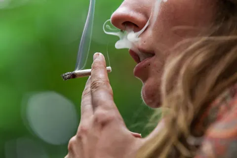 “대마 사용장애, 정신질환과 유전적 연관”…쌍방향 인과관계 밝혀져