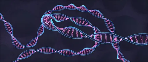 대규모 DNA 구조 변이 분석으로 루이소체치매·전두측두치매 위험 요인 규명
