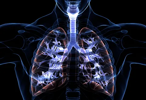숨이 차고 기침이 멈추지 않는다면…COPD, 흡연 후유증 아닌 폐의 붕괴입니다