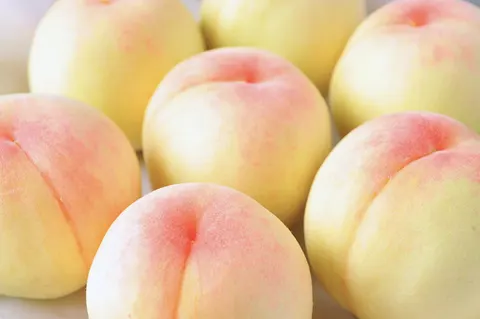 여름 복숭아, 맛만 좋은 줄 알았죠? 콜레스테롤 낮추고 혈압까지 잡는다